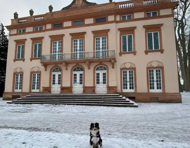 Schönbusch Palace, Germany